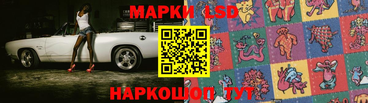 ЛСД экстази ecstasy  ЛСД экстази ecstasy  Курчалой  Вход с VPN 