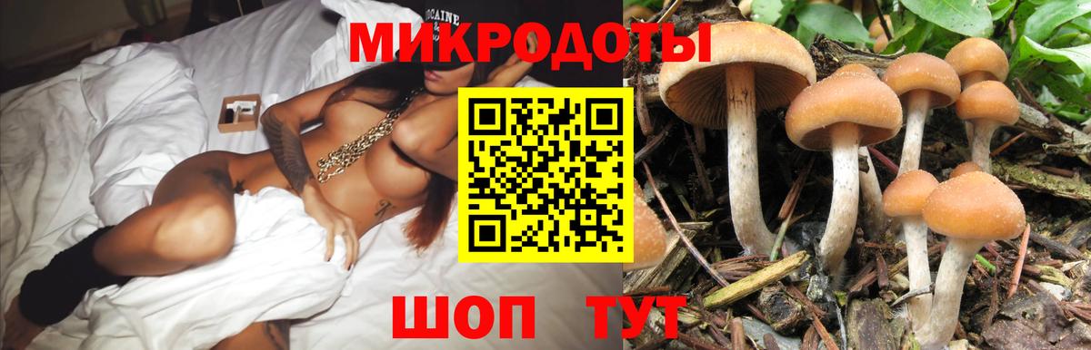 Псилоцибиновые грибы прущие грибы Курчалой